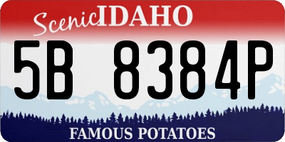 ID license plate 5B8384P