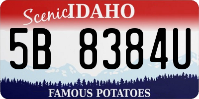 ID license plate 5B8384U