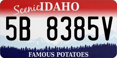 ID license plate 5B8385V