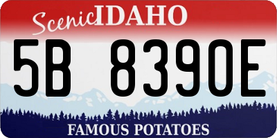 ID license plate 5B8390E