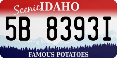 ID license plate 5B8393I