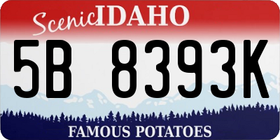 ID license plate 5B8393K