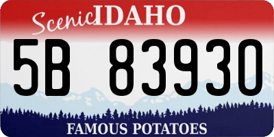 ID license plate 5B8393O