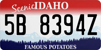 ID license plate 5B8394Z