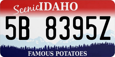 ID license plate 5B8395Z
