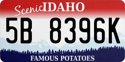 ID license plate 5B8396K