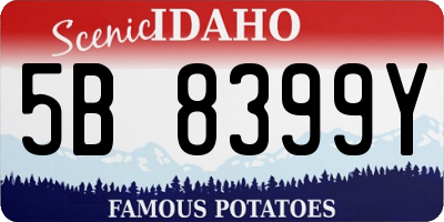 ID license plate 5B8399Y