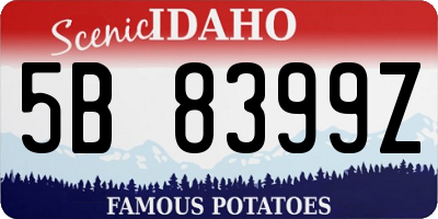 ID license plate 5B8399Z