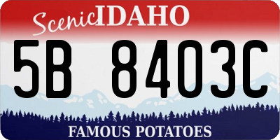 ID license plate 5B8403C