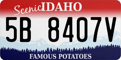 ID license plate 5B8407V