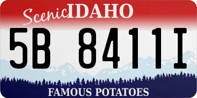 ID license plate 5B8411I