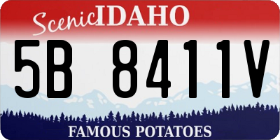 ID license plate 5B8411V