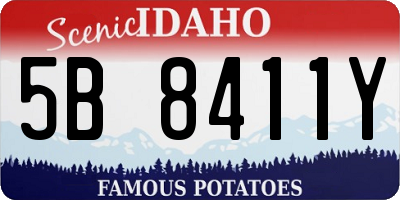 ID license plate 5B8411Y