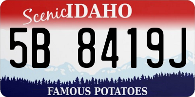 ID license plate 5B8419J