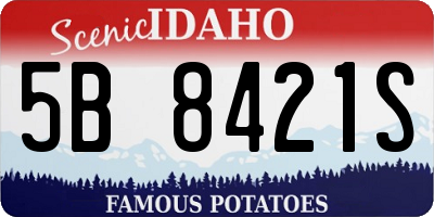 ID license plate 5B8421S