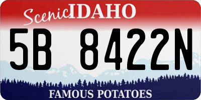 ID license plate 5B8422N