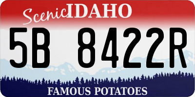 ID license plate 5B8422R