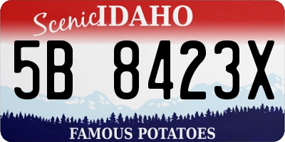 ID license plate 5B8423X