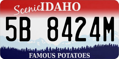 ID license plate 5B8424M