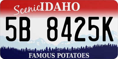 ID license plate 5B8425K