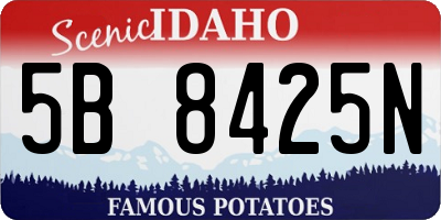 ID license plate 5B8425N