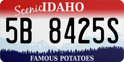 ID license plate 5B8425S