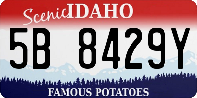 ID license plate 5B8429Y