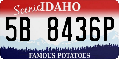 ID license plate 5B8436P
