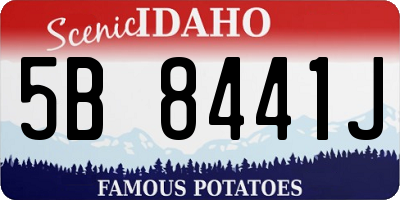 ID license plate 5B8441J