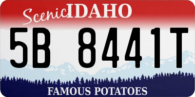 ID license plate 5B8441T