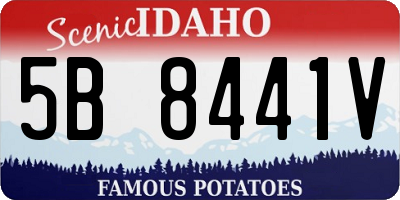 ID license plate 5B8441V