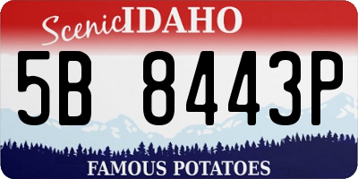 ID license plate 5B8443P