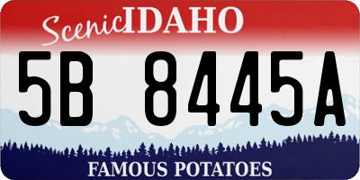 ID license plate 5B8445A