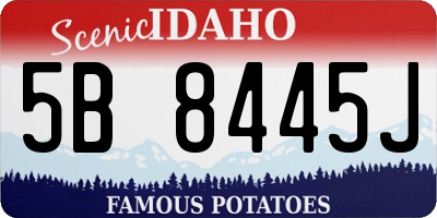 ID license plate 5B8445J