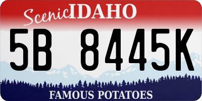 ID license plate 5B8445K