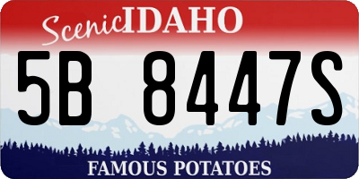 ID license plate 5B8447S