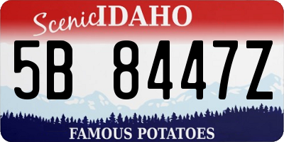 ID license plate 5B8447Z