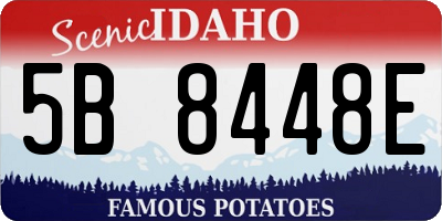 ID license plate 5B8448E
