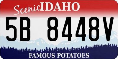 ID license plate 5B8448V
