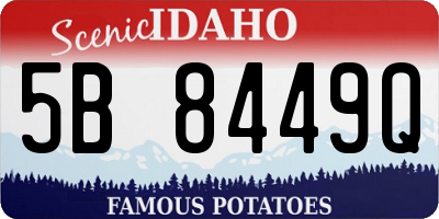 ID license plate 5B8449Q