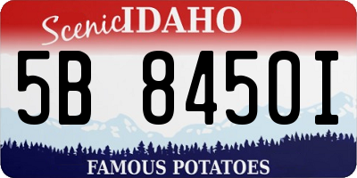 ID license plate 5B8450I