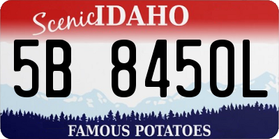 ID license plate 5B8450L