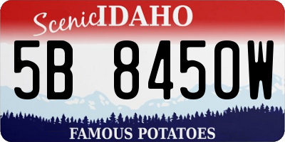 ID license plate 5B8450W