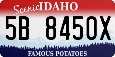 ID license plate 5B8450X