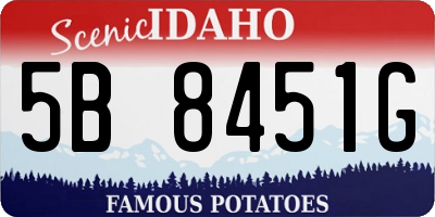 ID license plate 5B8451G