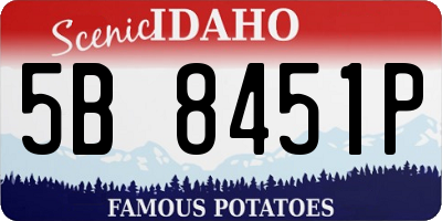 ID license plate 5B8451P