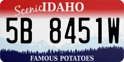 ID license plate 5B8451W