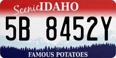 ID license plate 5B8452Y