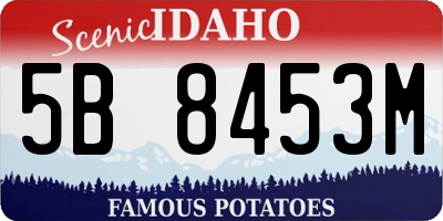 ID license plate 5B8453M