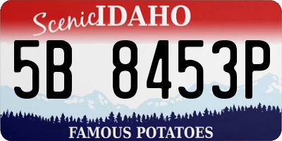 ID license plate 5B8453P